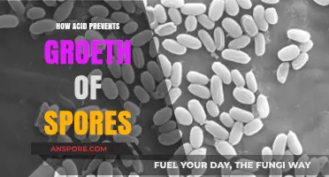 How Acid Inhibits Spore Germination and Growth: A Detailed Guide