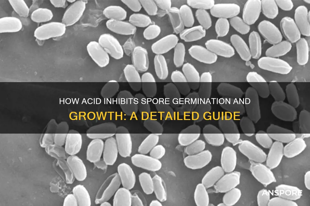 how acid prevents groeth of spores