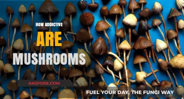 Mushrooms: Highly Addictive or Not?