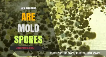 Understanding Mold Spores: How Far and Wide They Travel in Air