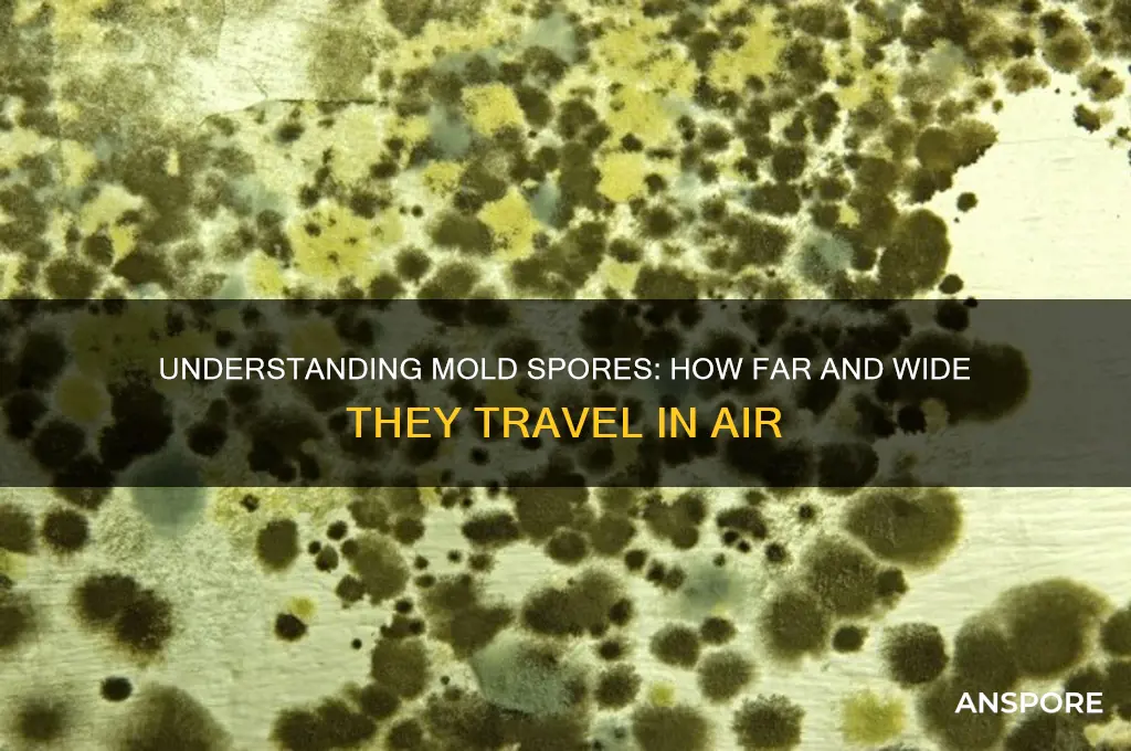 how airborne are mold spores