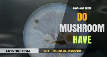 Mushroom Sex: Nature's Surprising Diversity