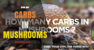 Mushrooms: Carb Content and Nutritional Facts