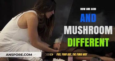 Psychedelics: Acid vs. Shrooms