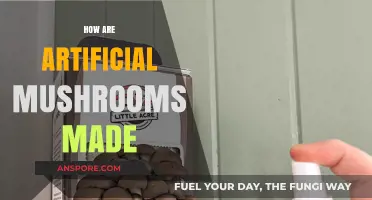 The Magic of Artificial Mushroom Making