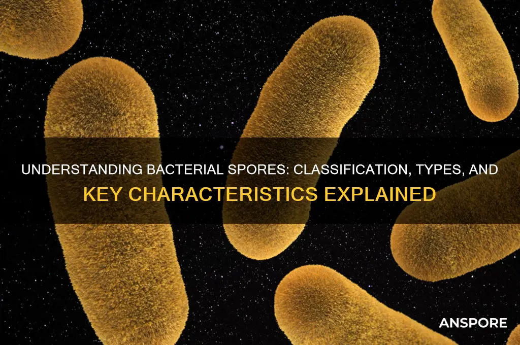 how are bacterial spores classified