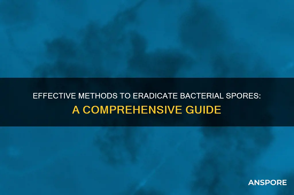 how are bacterial spores killed
