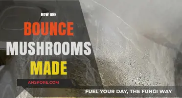 The Magic Behind Creating Bouncy Mushrooms