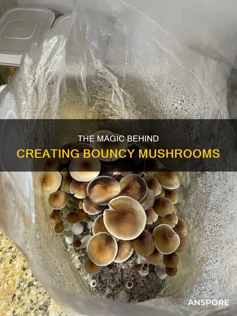 how are bounce mushrooms made
