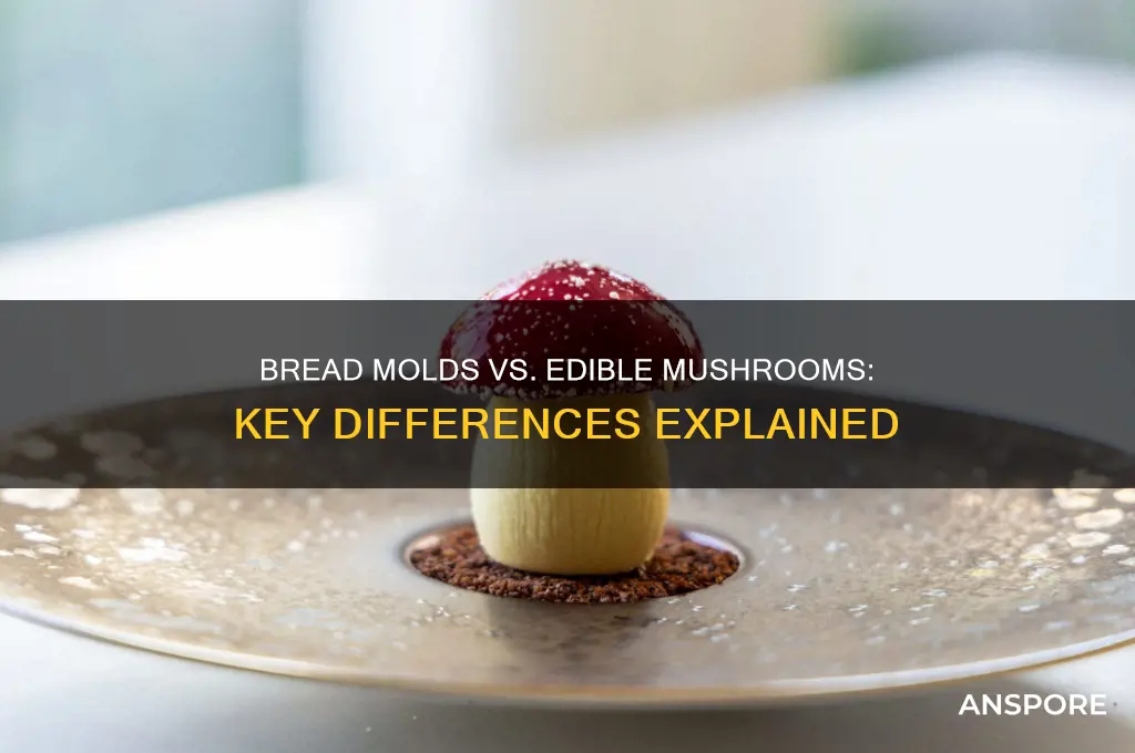how are bread molds different from edible mushrooms