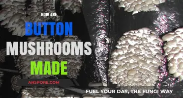 The Magic Behind Button Mushrooms