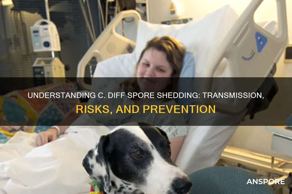 how are c diff spores shed