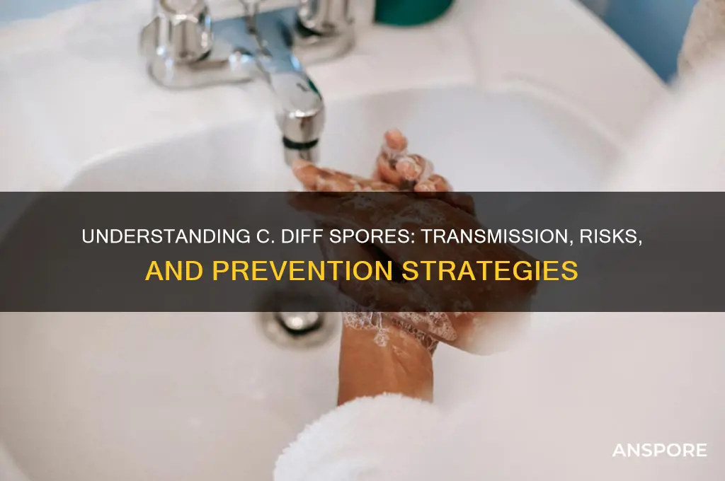 how are c diff spores spread