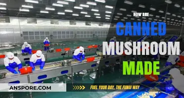 From Farm to Can: The Fascinating Process of Making Canned Mushrooms