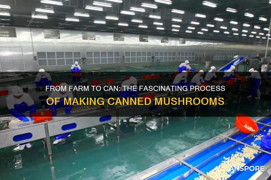 how are canned mushrooms made