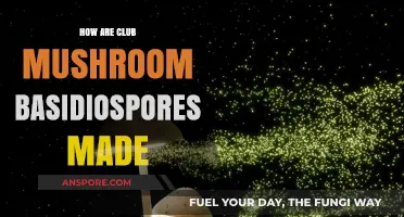 Making Mushroom Basidiospores: A Club's Secret