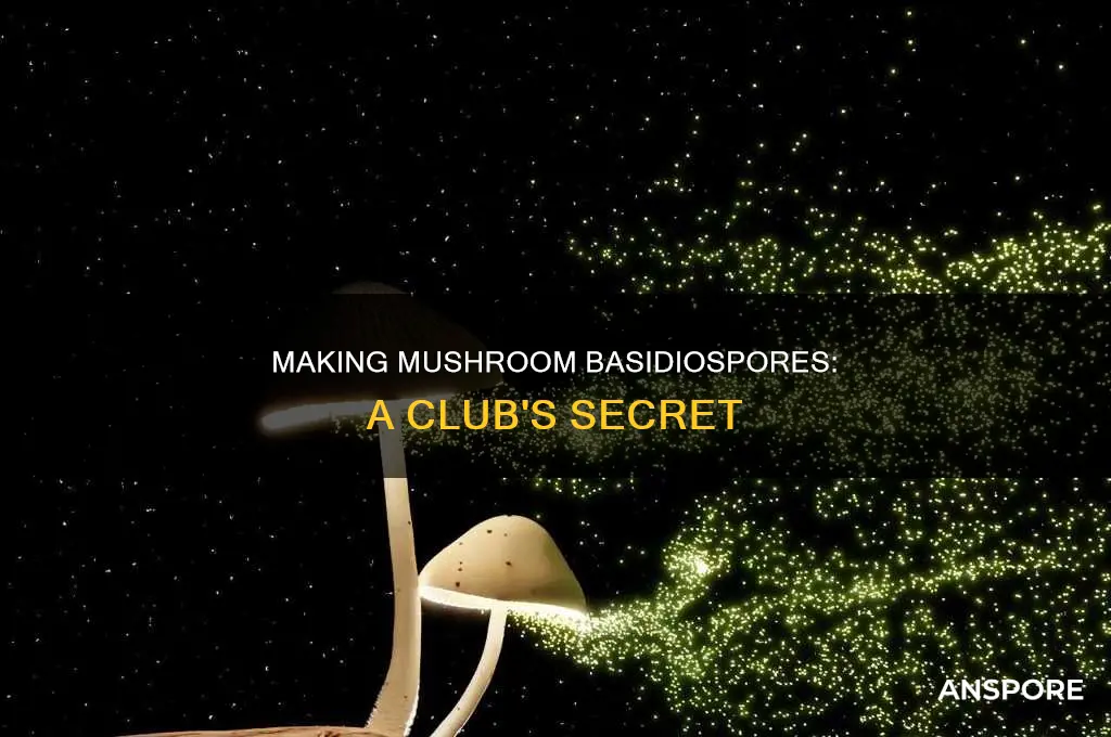 how are club mushroom basidiospores made