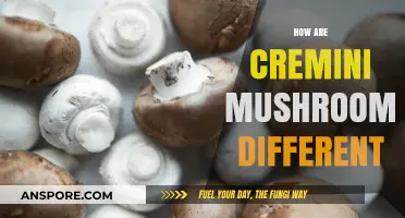 Cremini Mushrooms: What Sets Them Apart?