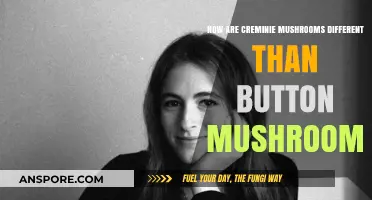 Cremini vs Button Mushrooms: What's the Difference?