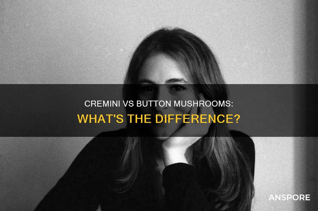 how are creminie mushrooms different than button mushrooms