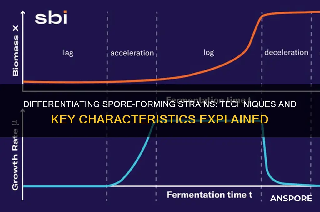how are different strains of spore formers differentiated