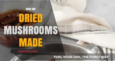 The Magic of Drying Mushrooms: A Step-by-Step Guide