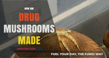 The Making of Magic Mushrooms