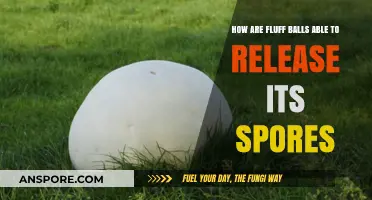 Unveiling the Fluff Ball's Spores: A Fascinating Release Mechanism Explained