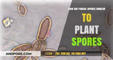 Fungal vs. Plant Spores: Uncovering Striking Similarities in Reproduction