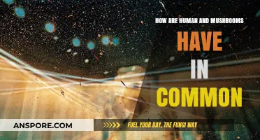 Human-Mushroom Bond: Our Similarities Explored