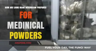 Lion's Mane Mushroom: Preparing Nature's Medicine