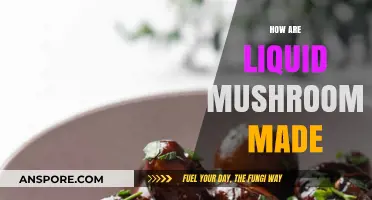Making Liquid Mushrooms: The Extraction Process