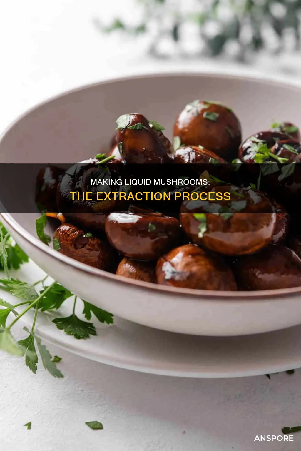 how are liquid mushrooms made