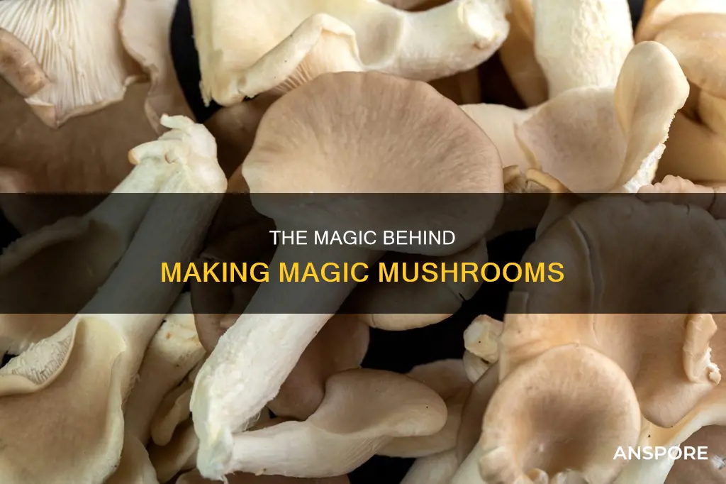 how are mafic mushrooms produced