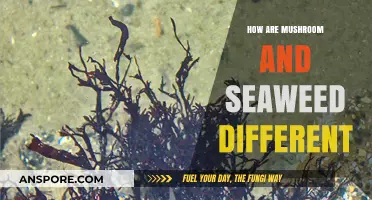 Mushrooms and Seaweed: A World of Differences
