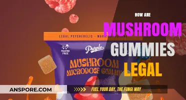 Are Mushroom Gummies Legal? Exploring the Legal Loophole in Psilocybin Edibles