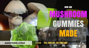 Mushroom Gummies: A Step-by-Step Guide to Making Them