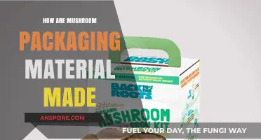 Mushroom Packaging: Nature's Way of Protecting Fragile Cargo