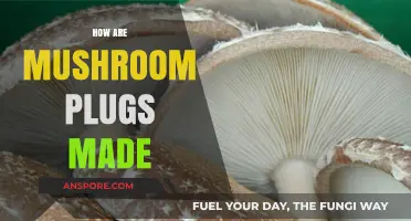 Mushroom Plugs: The Art of Cultivation