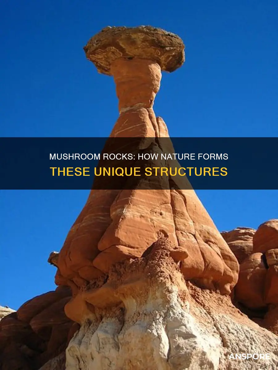 how are mushroom rock formed
