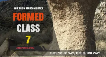 Mushroom Rocks: Nature's Weird and Wonderful Sculptures