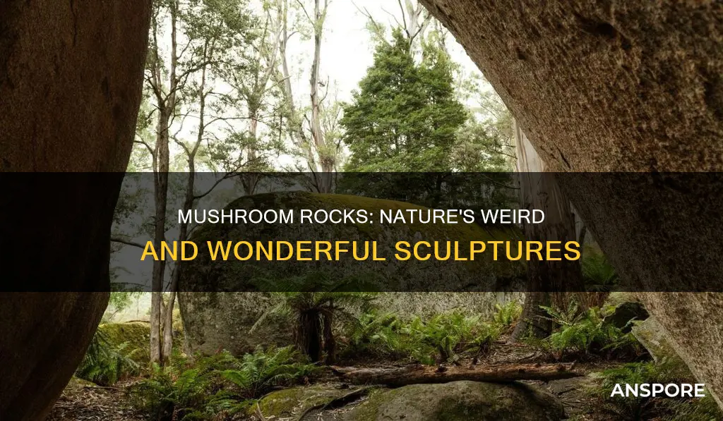 how are mushroom rocks formed