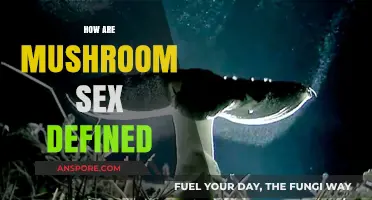 Mushroom Sex: How Do They Do It?