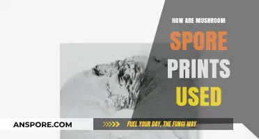 Unveiling Mushroom Secrets: The Art and Science of Spore Prints