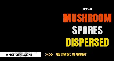 Mushroom Spores: Nature's Intricate Dispersal Methods