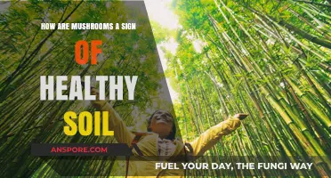 Mushrooms: Nature's Sign of Healthy Soil
