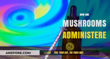 Mushroom Medicine: Administering for Health Benefits