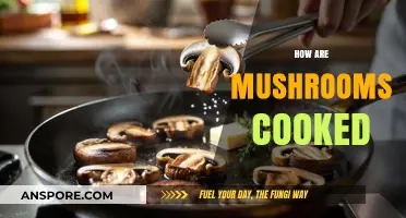 Mastering Mushroom Magic: Creative Cooking Techniques for Delicious Dishes
