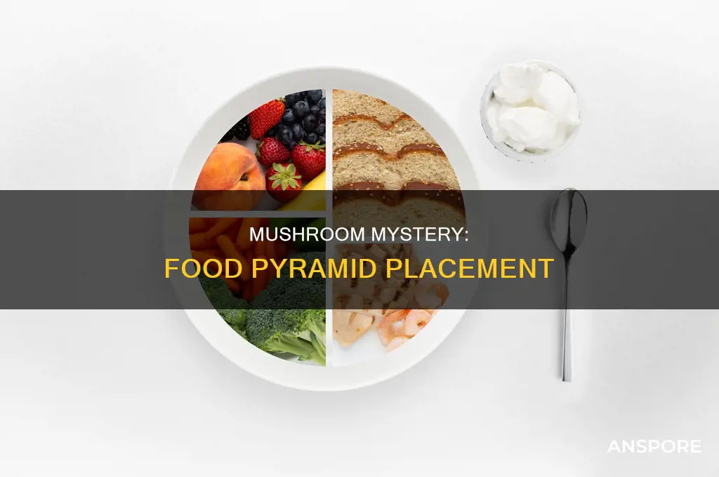 how are mushrooms counted on food pyramid