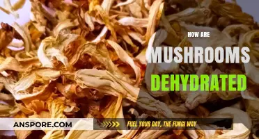 Mushroom Dehydration: Techniques and Benefits